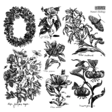 Nature's Etchings Stamp