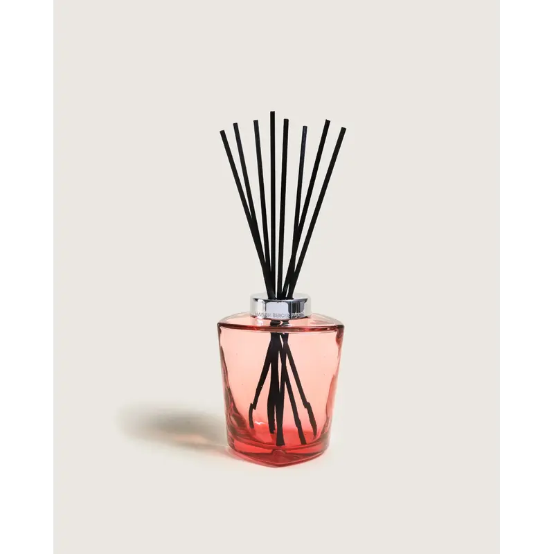 Lampe Berger Bouquet Diffuser - Terra Red
