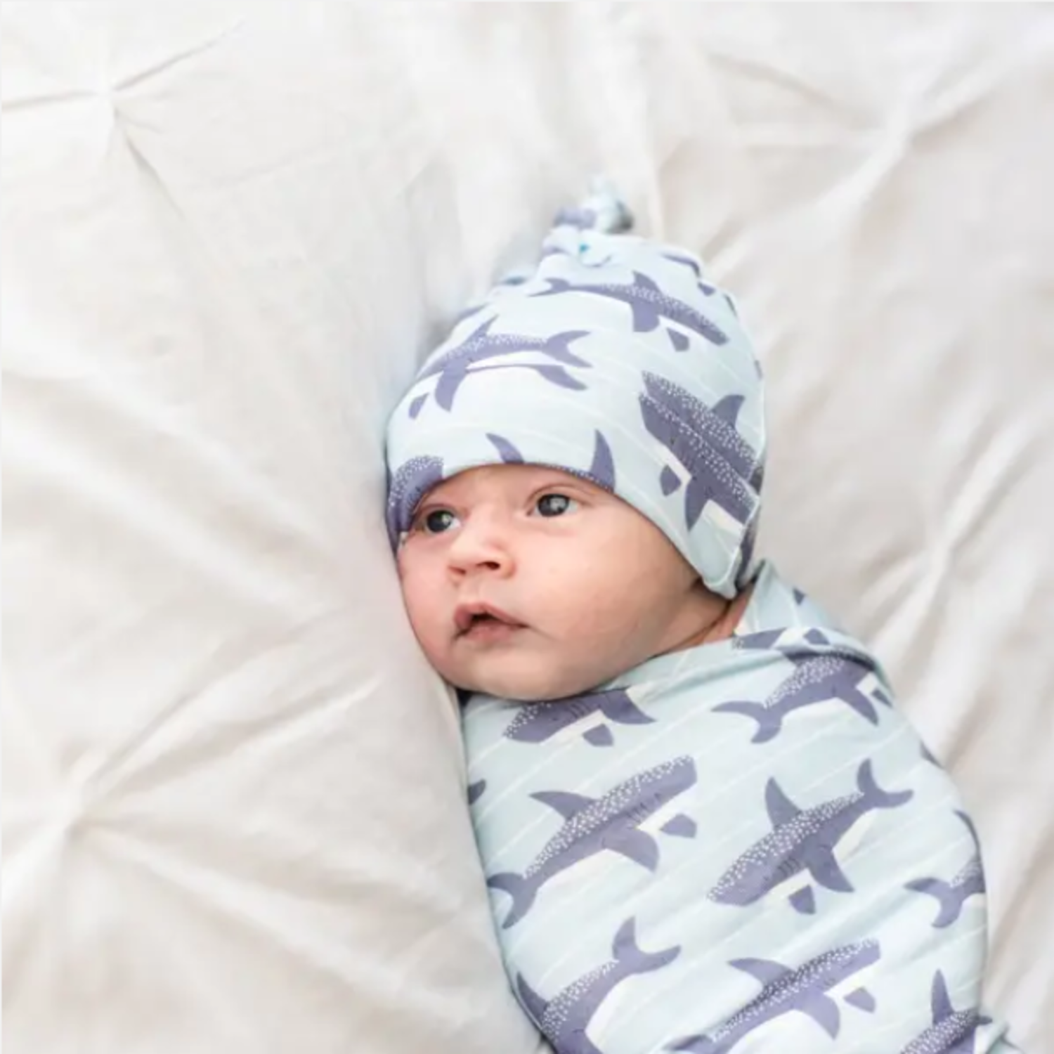 shark swaddle