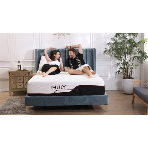 MLILY EGO Queen Mattress MLILY EGO Queen Mattress