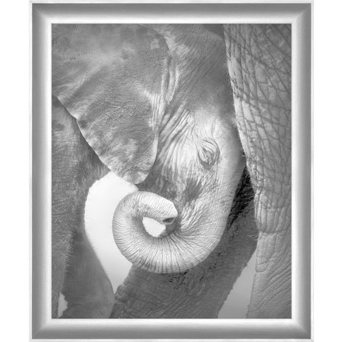 Surya Black and White Elephant Wall Art Surya Black and White Elephant Wall Art