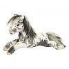 Douglas Starsky Appaloosa Horse