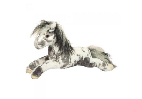 Douglas Horse, Starsky Appaloosa
