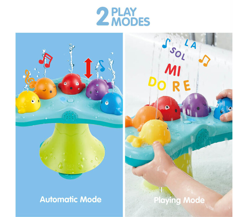 Musical Whale Fountain