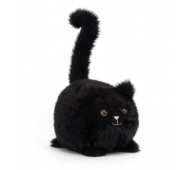 Kitten Caboodle Black