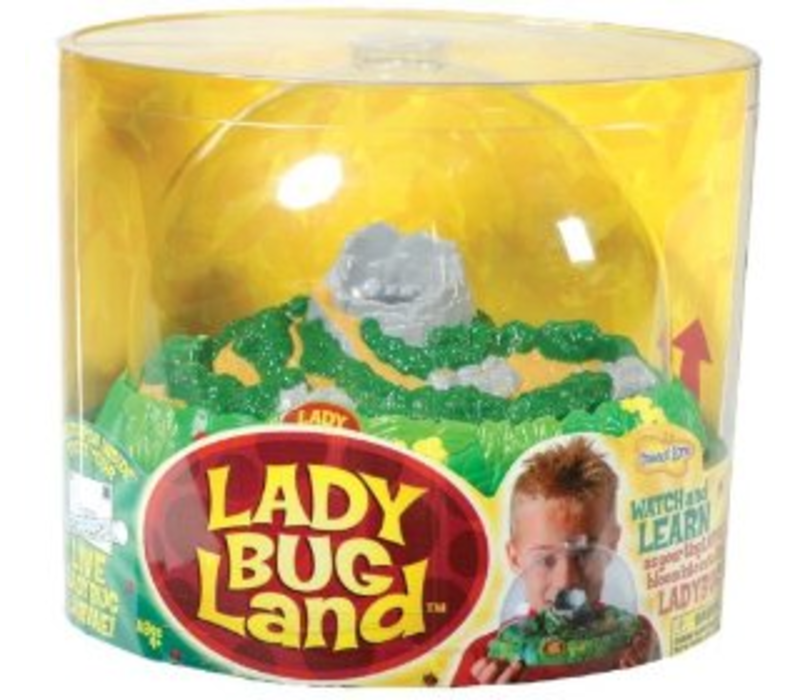 Ladybug Land - Tiddlywinks Toys And Games
