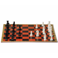 Chess & Checkers Set