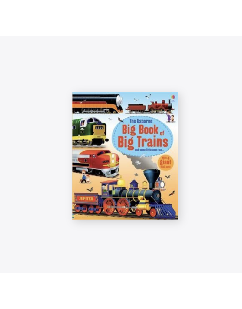Usborne Big Book of Trains
