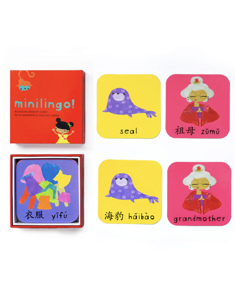 Worldwide Buddies Mini Lingo Flashcards