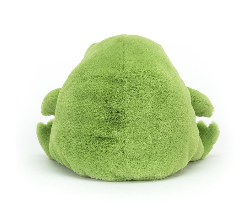 Ricky Rain Frog Medium