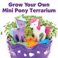 Mini Garden Pony