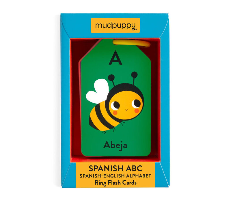 Flashcard Ring Spanish-English ABC
