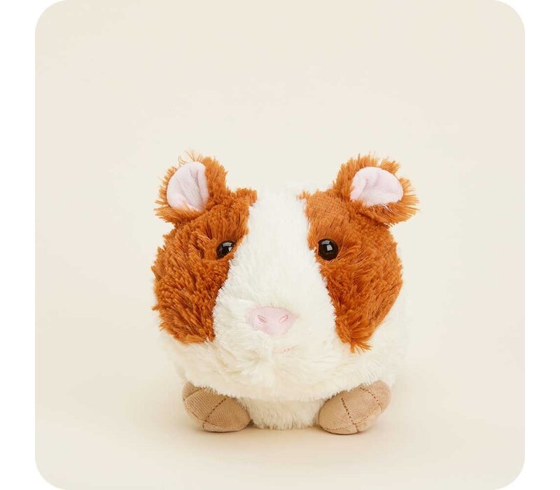 Guinea Pig Warmie