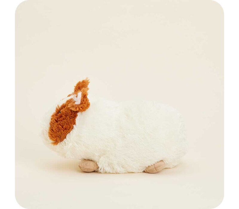 Guinea Pig Warmie