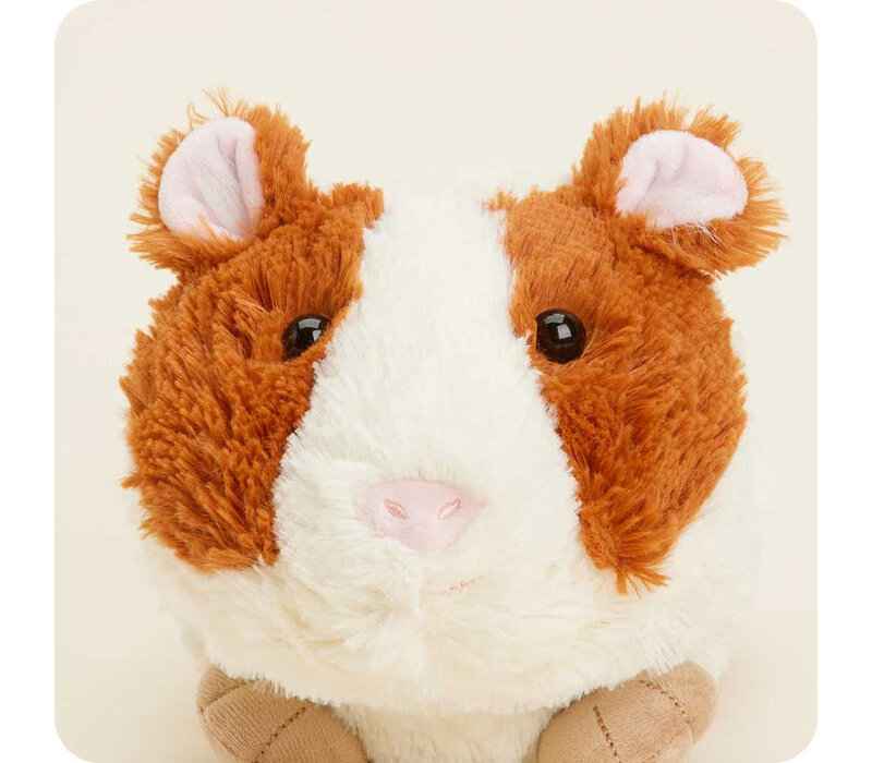 Guinea Pig Warmie