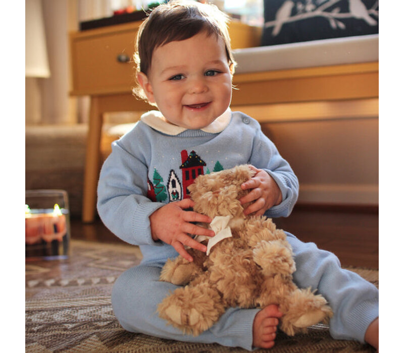 Little Daniel Bear