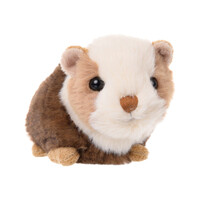 Piggy Guinea Pig