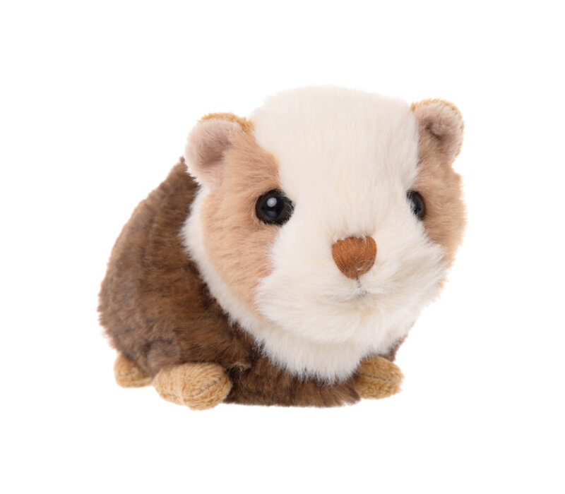 Piggy Guinea Pig