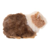 Piggy Guinea Pig