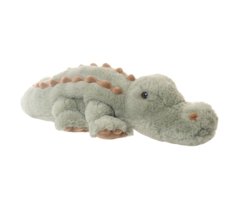 Maximus  Alligator