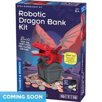 Robotic Dragon Bank Kit