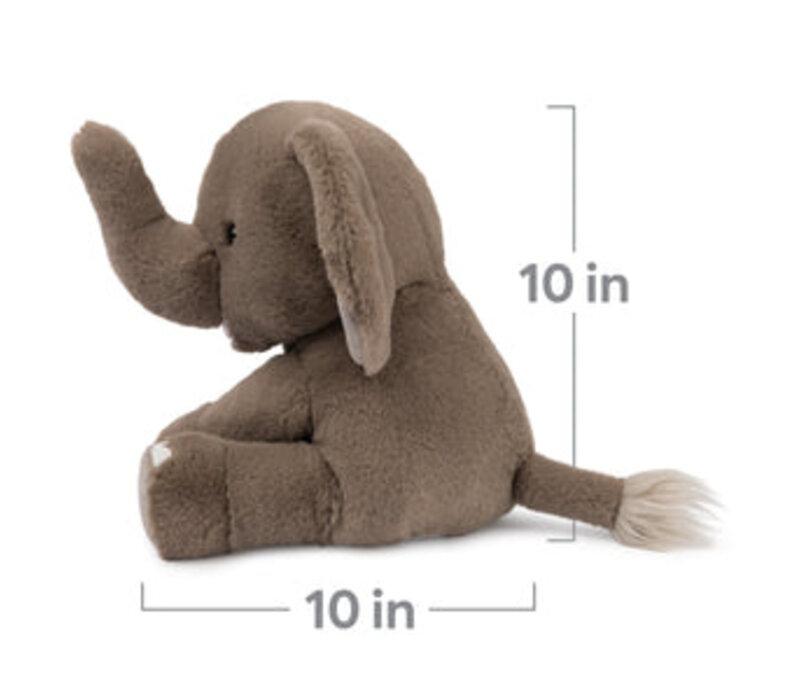 Chai the Elephant