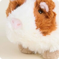 Guinea Pig Warmie Junior