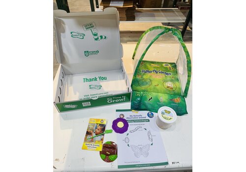 Insect Lore LIVE Butterfly Kit