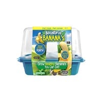 Bountiful Bananas