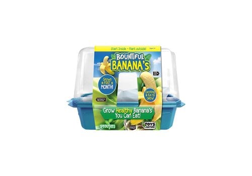 Silver Circle Bountiful Bananas