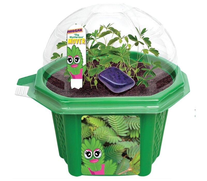 Morgan the Mighty Mover