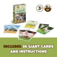 Giant Matching Card Game
