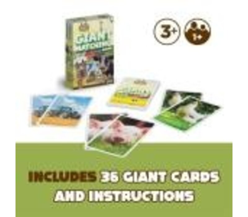 Giant Matching Card Game