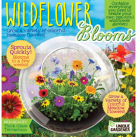 Wildflowers and Glass