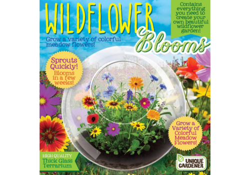 Silver Circle Wildflowers and Glass