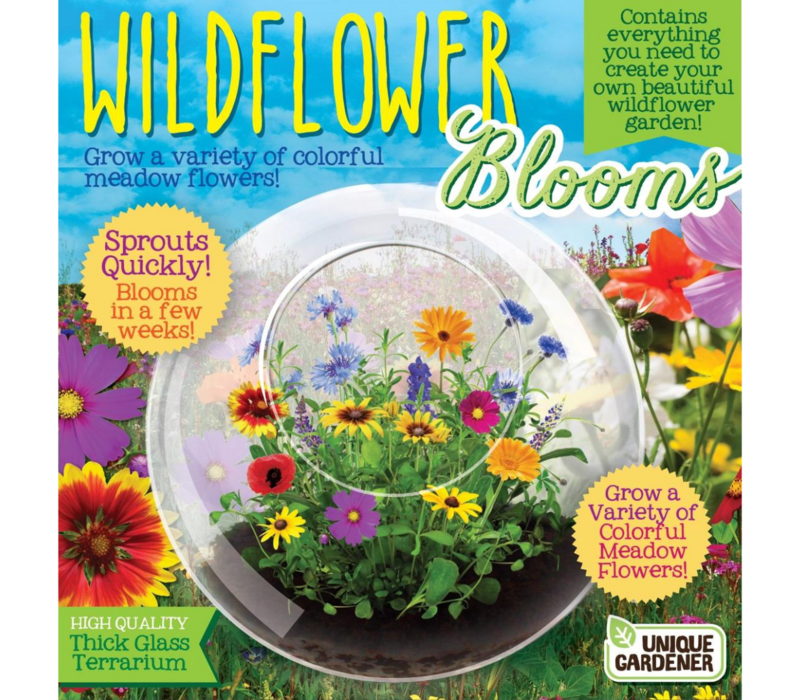 Wildflowers and Glass