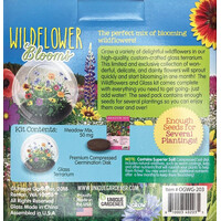 Wildflowers and Glass