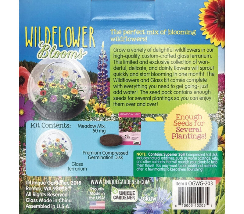 Wildflowers and Glass