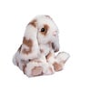 Douglas Muddy Spotted Bunny