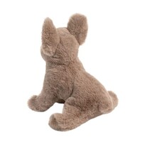 Gabbie French Bulldog
