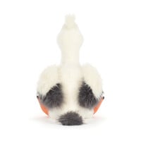 Keli Pelican