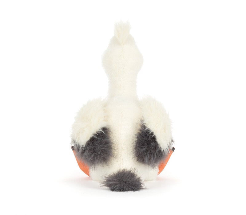 Keli Pelican