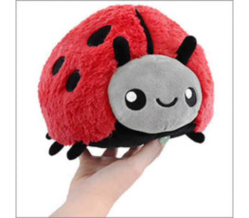 Mini Ladybug (7")