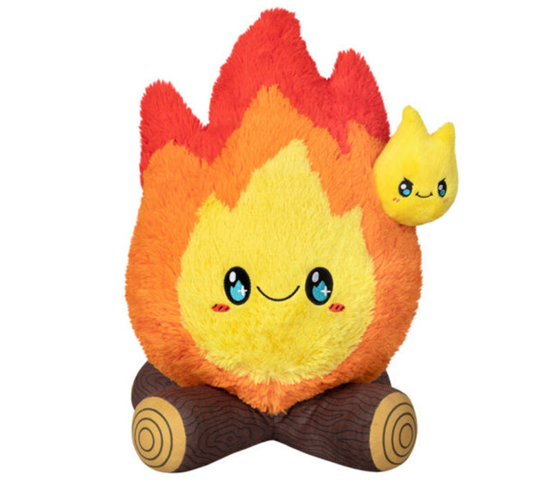 Campfire