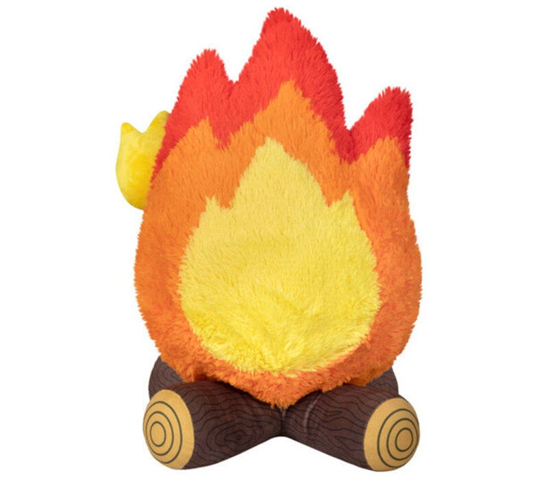 Campfire