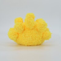 Coral Yellow