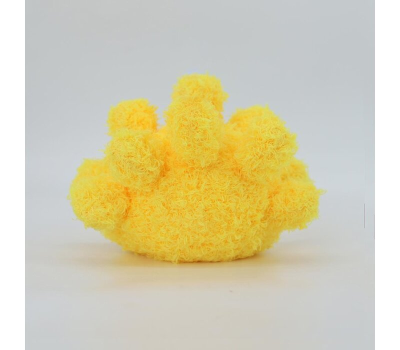 Coral Yellow