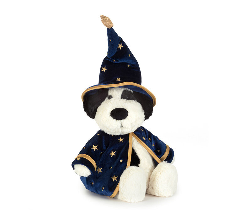 Rufferty Puppy Wizard Outfit