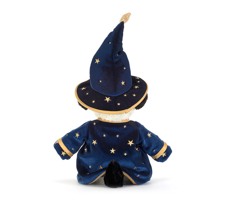 Rufferty Puppy Wizard Outfit