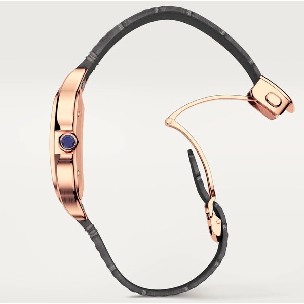 CARTIER Santos de Cartier watch